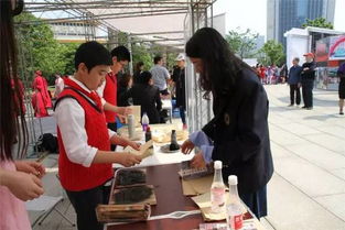 下城區(qū)第十七屆教育超市暨教育公園咨詢服務(wù)活動(dòng)在武林廣場(chǎng)歡樂開鑼